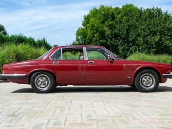  Voir détails -Jaguar XJ 6 1981 4.2 MANUALE à Saint-Marcel-de-Flines (42)