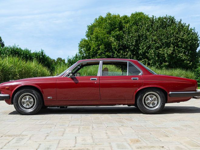 Jaguar XJ 6 1981 4.2 MANUALE ROSSO de 1981