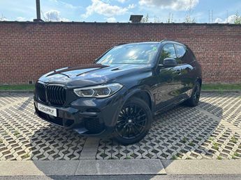  Voir détails -BMW X5 xDrive30d - M-Sport - Lichte Vracht/ Uti à Kuurne (85)