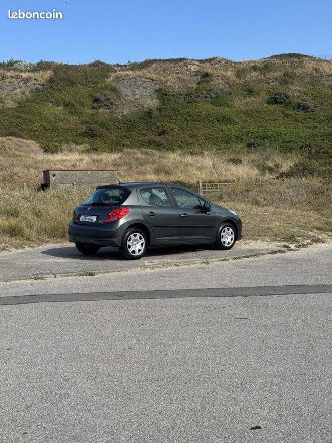 Peugeot 207  Gris de 2009