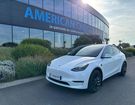 Tesla Model Y Performance Dual motor AWD &agrave;  Le Coudray-Montceaux (91)