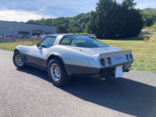 Chevrolet Corvette C3 DE 1982 GRIS Clair/Bandes Gris Fonc de 1982