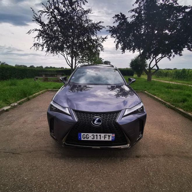 Lexus UX 250H 2WD H F-Sport Pack cuir Gris Verni de 2017