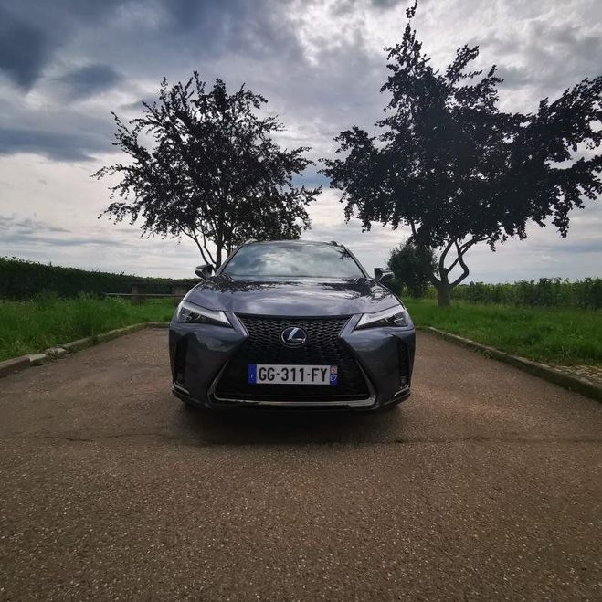 Lexus UX 250H 2WD H F-Sport Pack cuir Gris Verni de 2017