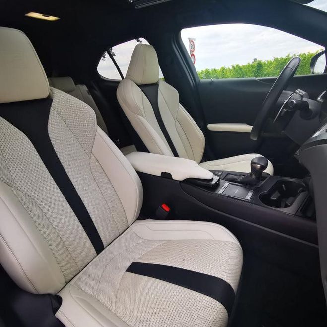 Lexus UX 250H 2WD H F-Sport Pack cuir Gris Verni de 2017