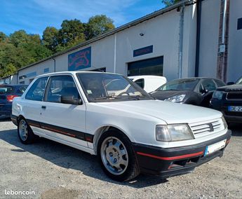  Voir détails -Peugeot 309 gti à Saint-Girons (09)