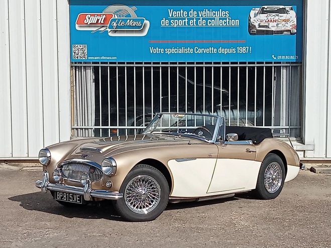 Cliquer pour voir la photo suivante Austin healey 3000 BJ7 MK2 1962. de 1962