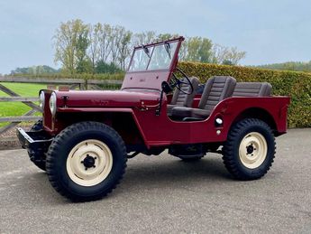  Voir détails -Jeep Willys CJ2A à Sint-Truiden (38)