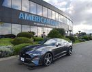 Ford Mustang GT FASTBACK 5.0L V8 450ch BVM &agrave;  Le Coudray-Montceaux (91)