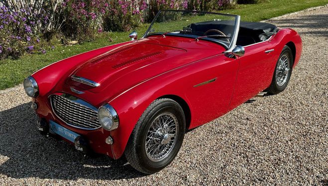Austin healey 3000 mk1 bt7 1961 Colorado Red de 1961