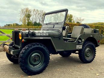  Voir détails -Jeep Willys M38 à Sint-Truiden (38)