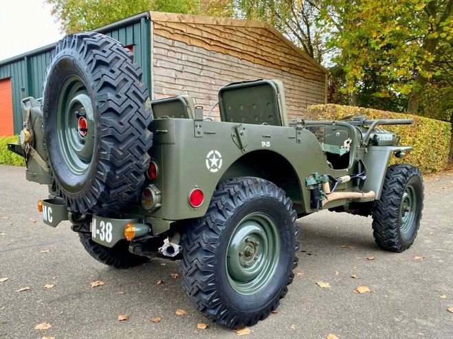 Jeep Willys M38  de 1952