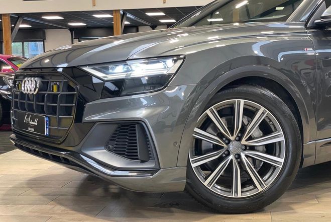 Audi Q8 50 3.0 TDI V6 MILD HYBRID QUATTRO TIPTRO Gris de 2019