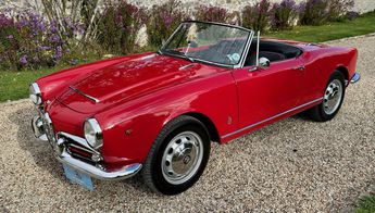  Voir détails -Alfa romeo Giulia spider 1600 à Marcq (78)