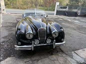  Voir détails -Jaguar XK 140 à Monaco (98)