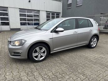  Voir détails -Volkswagen Golf 1.6 TDI 110 BlueMotion Technology FAP Lo à Mertzwiller (67)