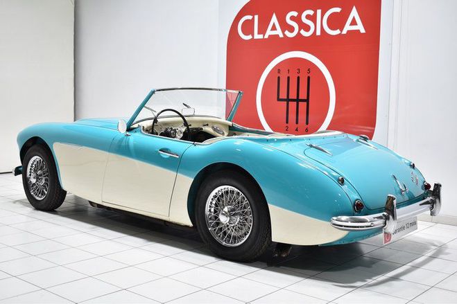 Austin healey 3000 BT7 Florida Green/ Ivory de 1960