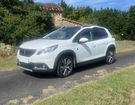 Peugeot 2008 1.5 bhdi 100 active business &agrave; Carlus (81)