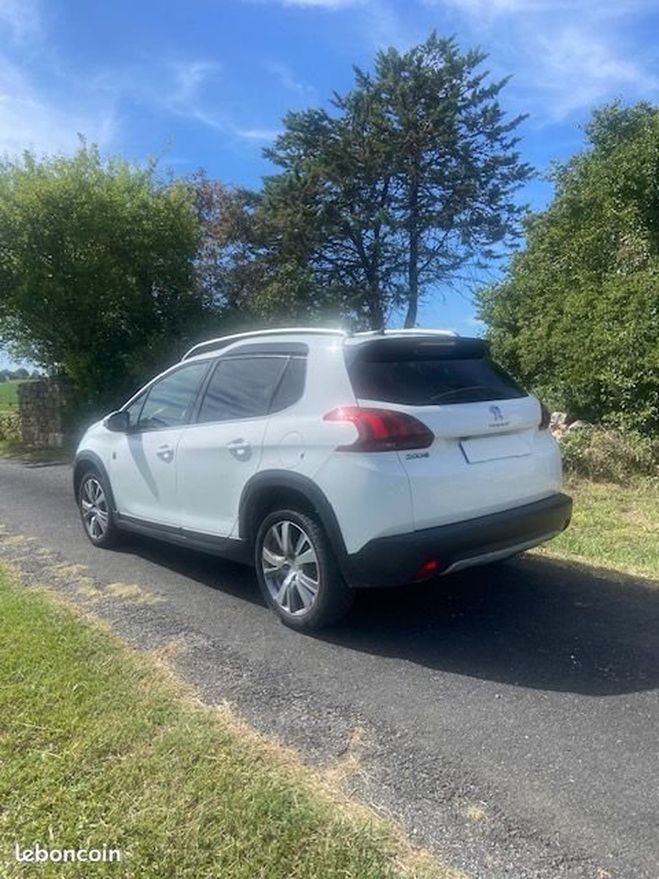 Peugeot 2008 1.5 bhdi 100 active business Blanc de 2019