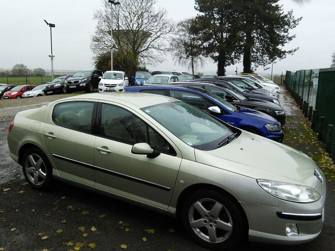 Peugeot 407 2.0 135 Executive Pack CLIM - DISTRIBUTI Gris de 2004