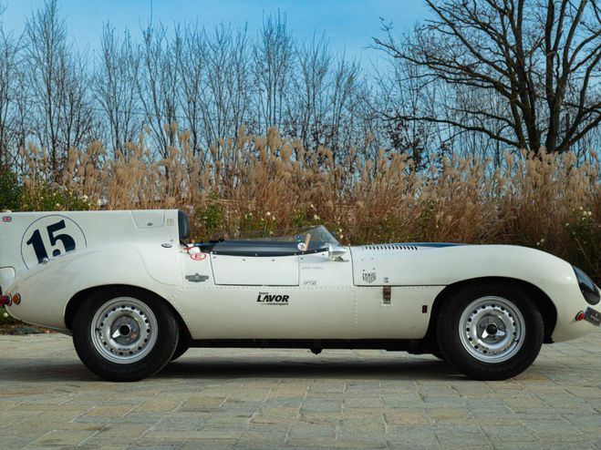 Jaguar D-Type 1977 Replica BIANCO STRISCE BLU de 1977