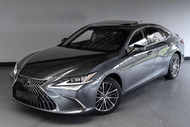 Lexus ES 300 300h Business Line Adaptief Cruise L Gris M�tallis� de 2024