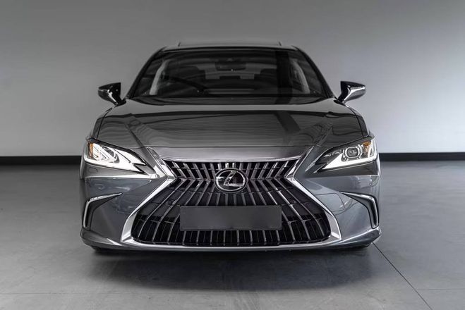 Lexus ES 300 300h Business Line Adaptief Cruise L Gris M�tallis� de 2024