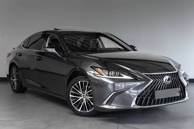 Lexus ES 300 300h Business Line Adaptief Cruise L Gris M�tallis� de 2024