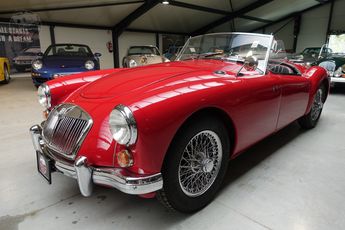  Voir d&eacute;tails -MG MGA A &agrave; Aarschot (32)