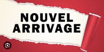  Voir d&eacute;tails -Citroen C2 1.4 HDI 70 CH PULP &agrave; Mon�teau (89)