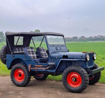  Voir d&eacute;tails -Jeep Willys CJ3A - 1951 &agrave; Sint-Truiden (38)