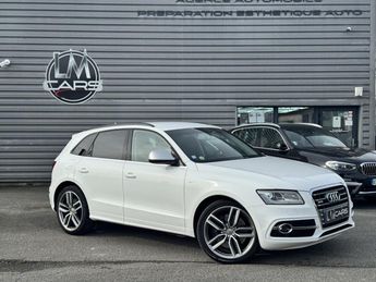  Voir d&eacute;tails -Audi SQ5 Quattro 3.0 V6 BiTDI - 313 - BVA Tiptron &agrave; Ch�teaubernard (16)