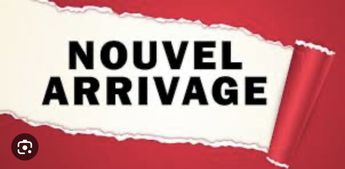  Voir d&eacute;tails -Peugeot Boxer FOURGON 330 L1H1 Confort 2.2 HDi 110 &agrave; Mon�teau (89)