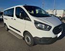 Ford Transit CUSTOM KOMBI 320 L2H1 2.0 TDCi 105 Ambie &agrave; Chanas (38)