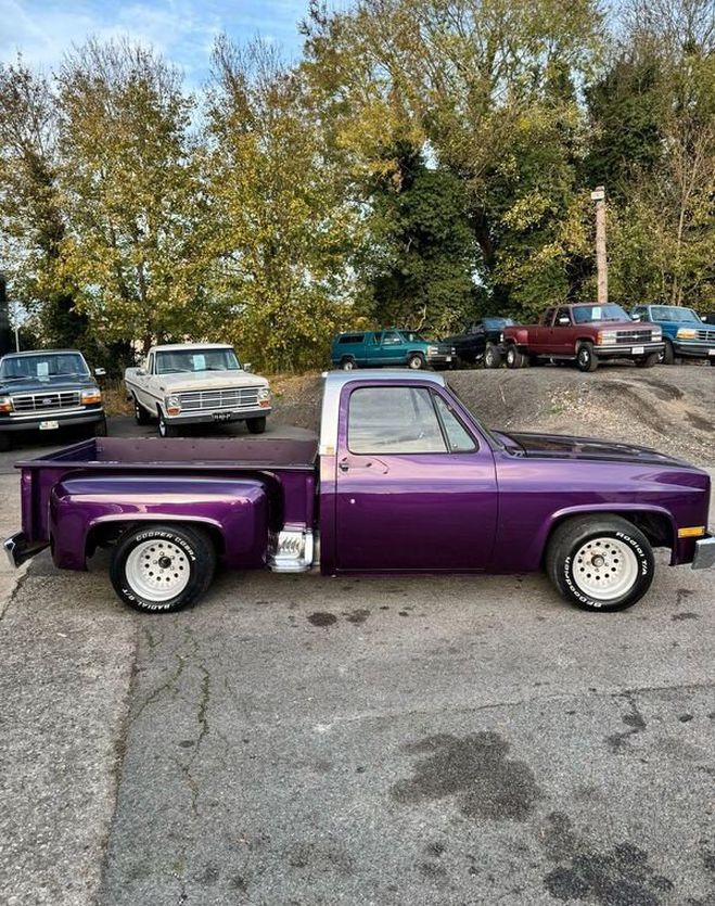 Chevrolet C10 stepside 5.0 v8 305 ci  de 1981