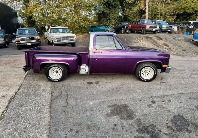 Chevrolet C10 stepside 5.0 v8 305 ci  de 1981