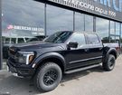 Ford F150 RAPTOR &agrave;  Le Coudray-Montceaux (91)
