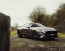 Ford Mustang GT &agrave; Aign� (72)