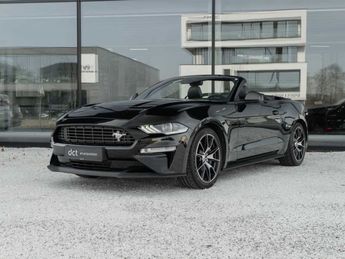  Voir d&eacute;tails -Ford Mustang Cabrio 55 Years edition CoolingSeats B&O &agrave; Wielsbeke (87)