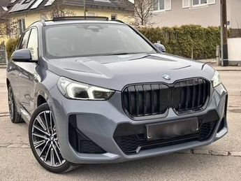  Voir d&eacute;tails -BMW X1 23d xDrive M-Sport Navi ACC Cuir AHK Pan &agrave; Sarcelles (95)