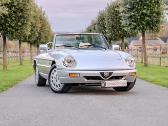  Voir d&eacute;tails -Alfa romeo Spider 2.0 &agrave; Londerzeel (18)
