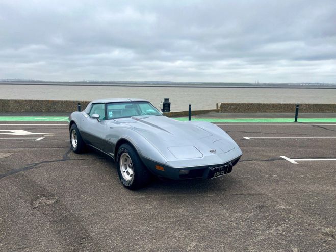 Chevrolet Corvette C3 25th Anniversary Silver Anniversary paint de 1978