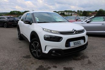  Voir d&eacute;tails -Citroen C4 Cactus BlueHDi 100ch S&S Shine Business E6.d &agrave; Xertigny (88)