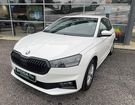 Skoda Fabia 1.0 TSI 110 ch DSG7 Ambition &agrave; Bar-le-Duc (55)