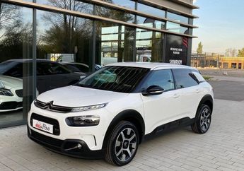  Voir d&eacute;tails -Citroen C4 Cactus PURETECH 110CH S&S SHINE BUSINESS &agrave; Geispolsheim (67)