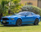 Ford Shelby