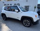 Jeep Renegade 2.0 MultiJet - 140 4x4 Active Drive Open &agrave;  Le Muy (83)