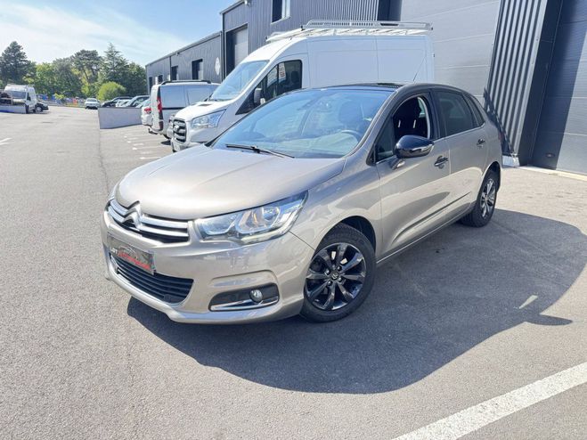 Citroen C4 II BlueHDi 120ch Feel S&S GRIS de 2017