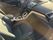 Agrandir