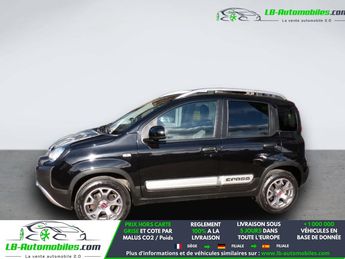  Voir d&eacute;tails -Fiat Panda 0.9 85 ch TwinAir 4x4 &agrave; Beaupuy (31)